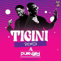 Tigini (Remix) - DJ Purvish